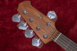 【new】HEX Guitars / B305 Ivory