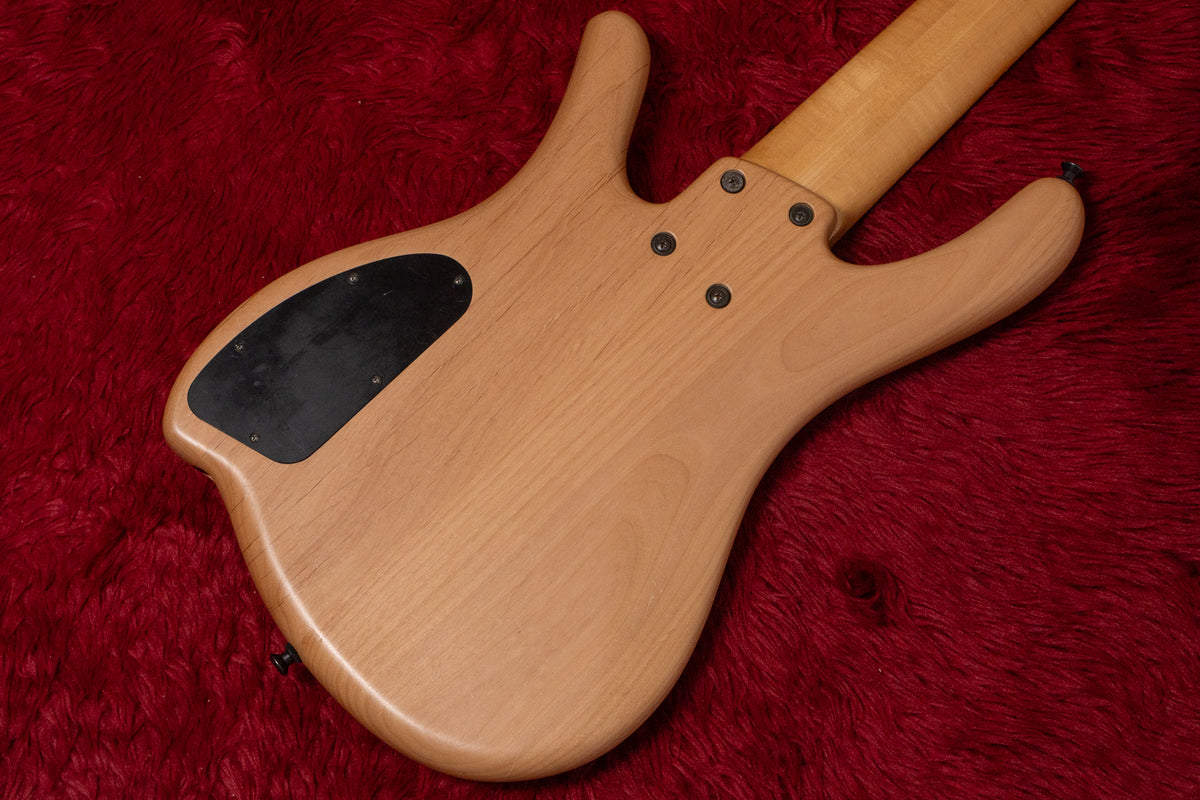used】Art Tech / Custom Bass 5st Passive mod. 1992 3.720kg