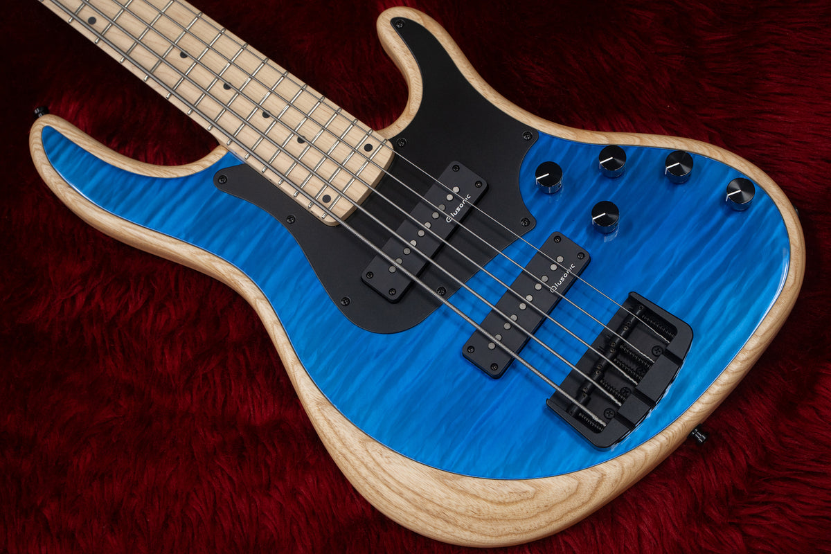 new] Alusonic / J-Special 5 Blue Single Coil #0523395 3.74kg