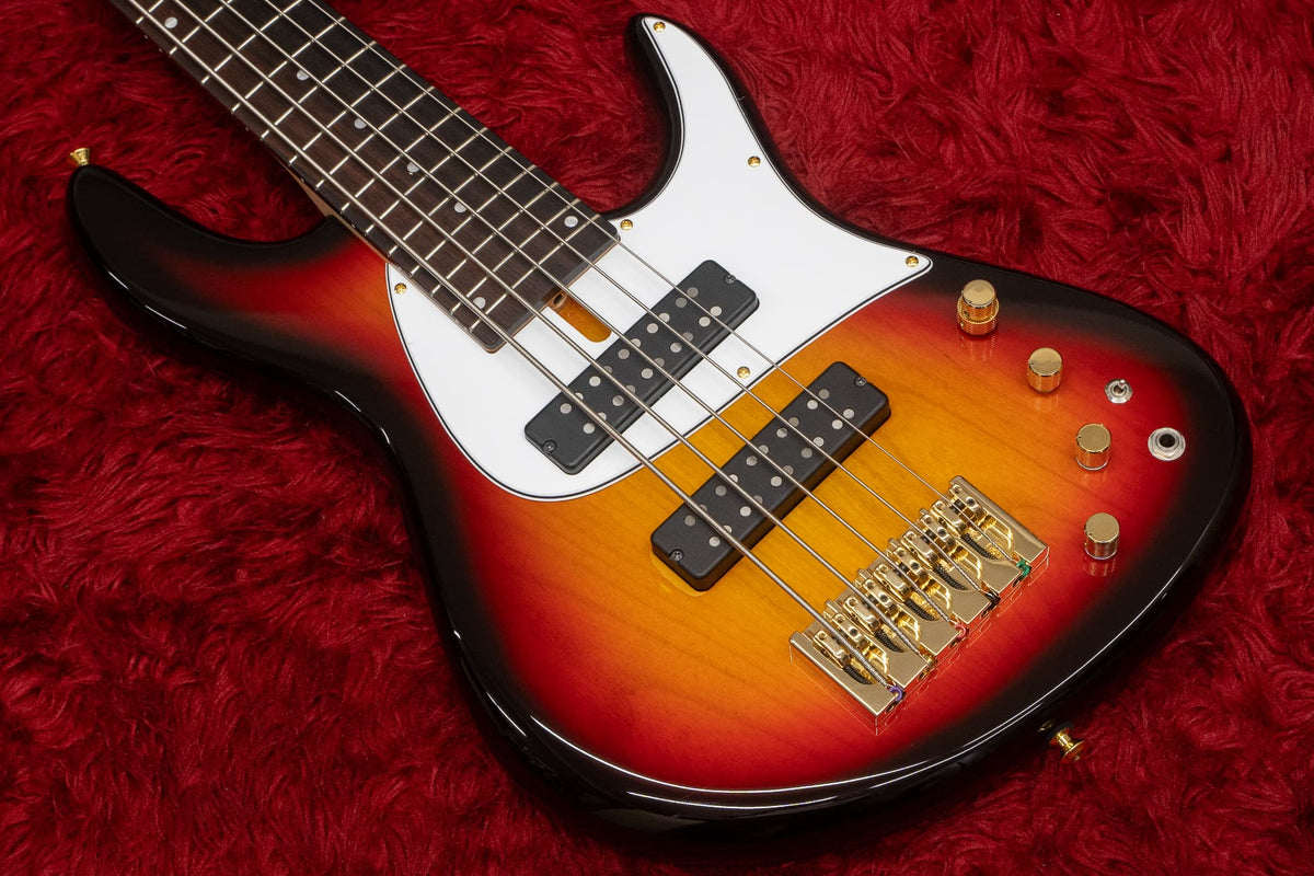 Fodera NYC Empire 5、Mono Bass Sleeveケース Fodera NYC Empire 5、Mono Bass Sleeveケース