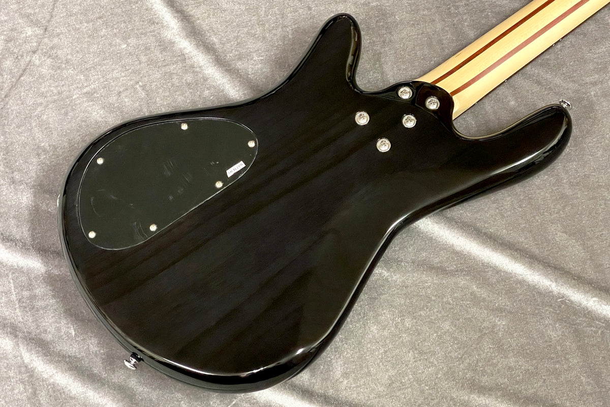 new] Spector / Legend 4 Standard Black Stain Gloss #WI22080813 3.8