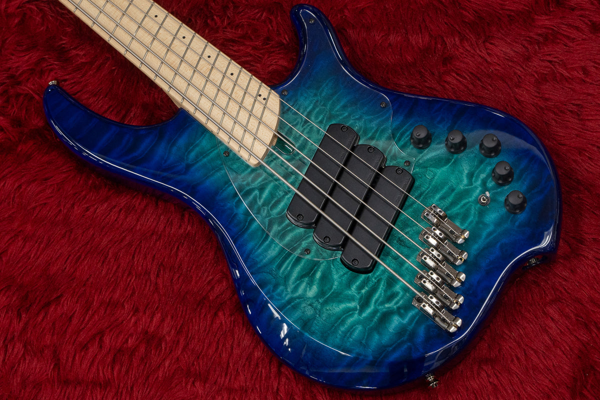 【used】Dingwall / Combustion CC1 Quilted Maple 3PUs Mod. #09830 4.585kg –  Bass Shop Geek IN Box