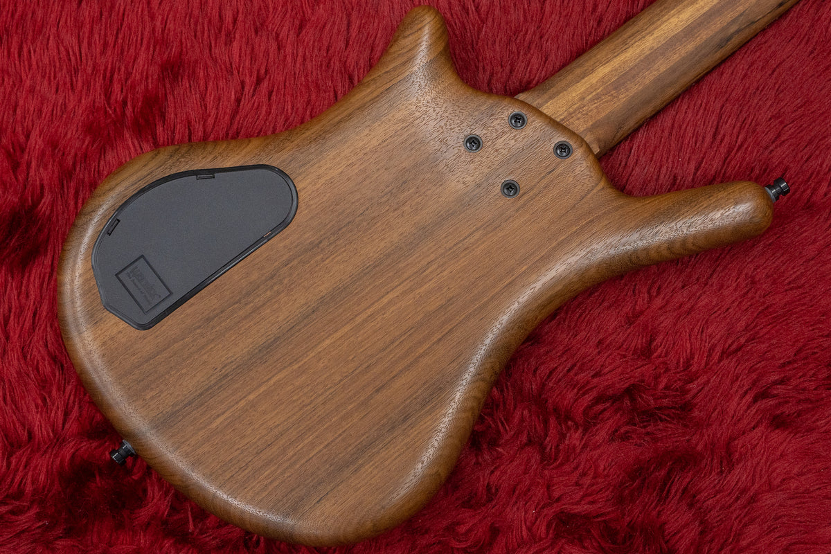 ベース warwick TeamBuild PS ThumbBass 5st outlet】Warwick / Team Build PS Thumb Bass BO 5 TS NAT B