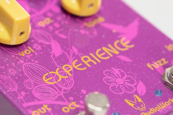 【new】TSAKALIS AUDIOWORKS / EXPERIENCE FUZZ-OCTAVE【GIB Yokohama】