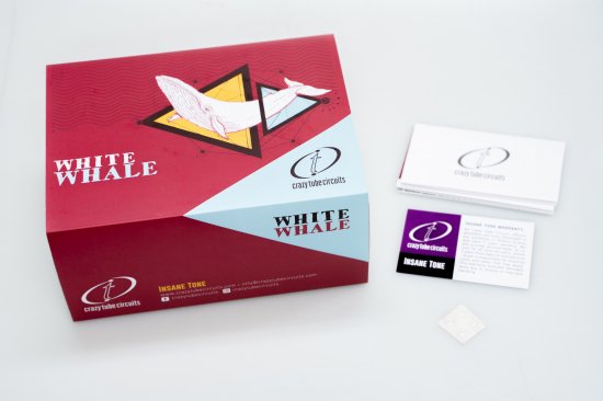 【new】Crazy Tube Circuits / White Whale【GIB Yokohama】