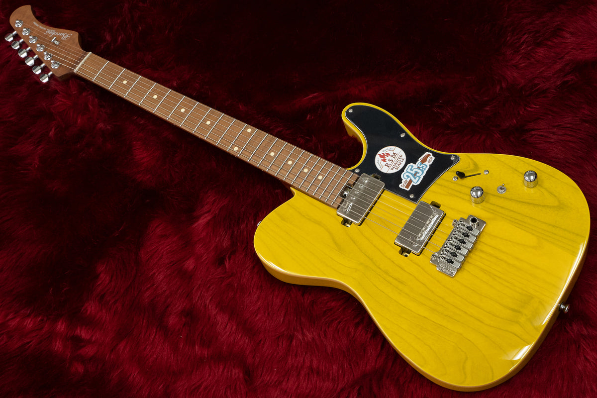 【美品・動作確認済】Bacchus TACTICS24-ASH/RSM Bacchus Global Series TACTICS24-ASH/RSM (STR) ｜イケベ楽器店