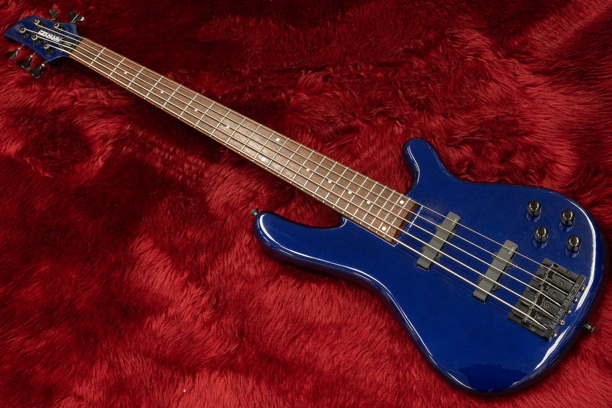 送料無料 FERNANDES GRAVITY 4X 09 ベース FERNANDES GRAVITY 4X 09 PTR Bass silverお 得 な 通販 サイト