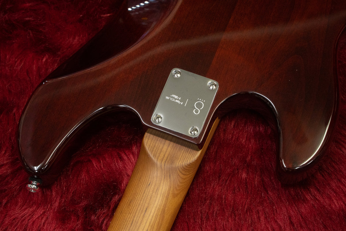 【new】Sire / P5 Alder 4st #2N22590025 3.76kg【GIB Yokohama】