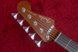 What Is Fender? A Deep Dive into the Iconic Guitar Brand