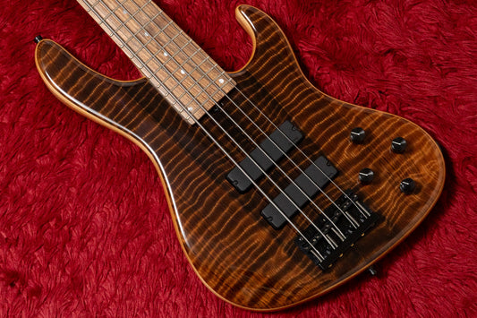 【new】Sadowsky / ML24 MS5 Special Edition Curly Sinker Redwood 3.700kg #F006541-26【GIB Yokohama】