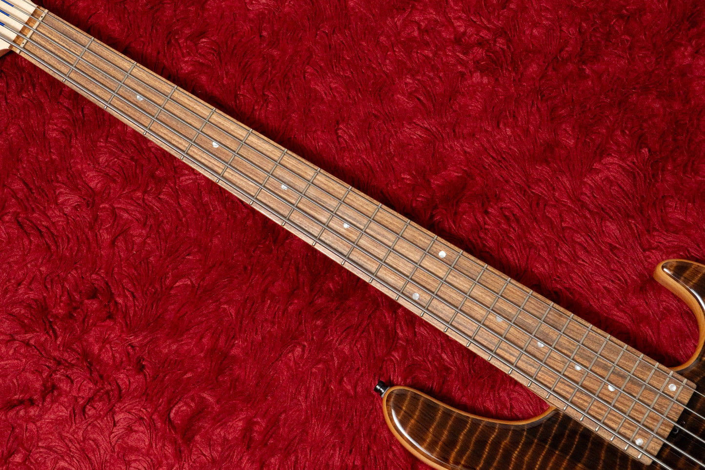 【new】Sadowsky / ML24 MS5 Special Edition Curly Sinker Redwood 3.700kg #F006541-26【GIB Yokohama】