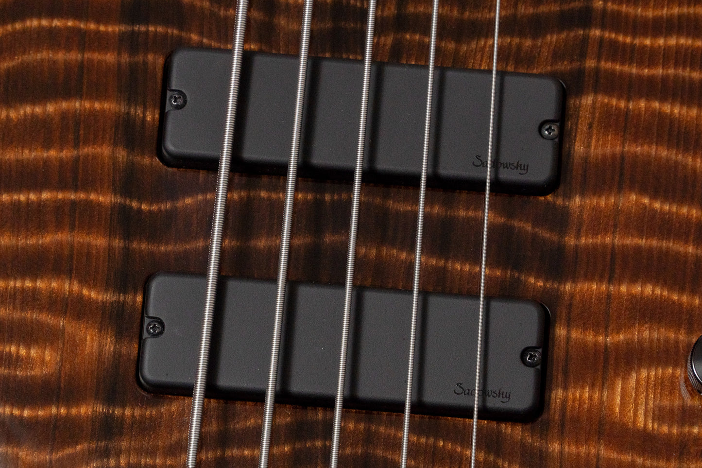 【new】Sadowsky / ML24 MS5 Special Edition Curly Sinker Redwood 3.700kg #F006541-26【GIB Yokohama】