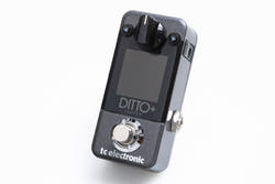 【used】tc electronic / DITTO+ LOOPER【GIB Yokohama】