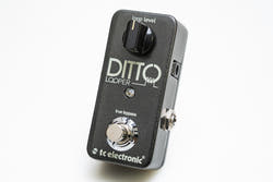 【used】tc electronic / DITTO LOOPER【GIB Yokohama】