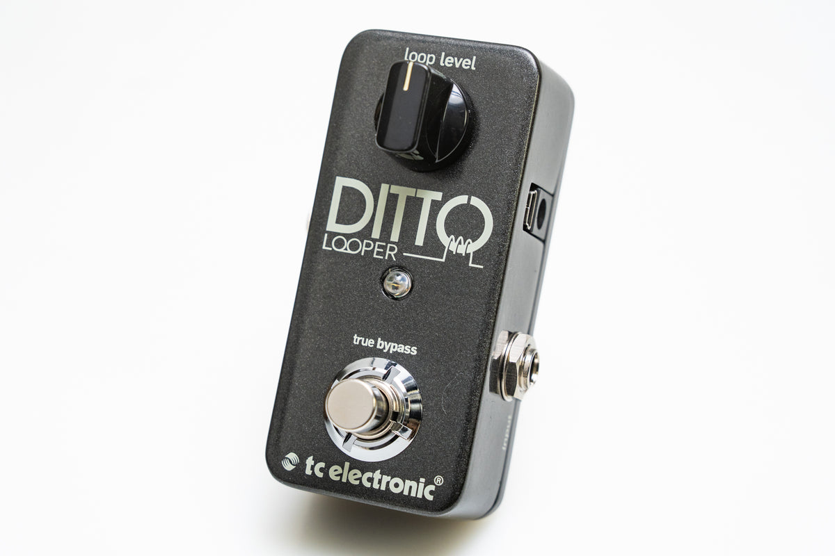 【used】tc electronic / DITTO LOOPER【GIB Yokohama】