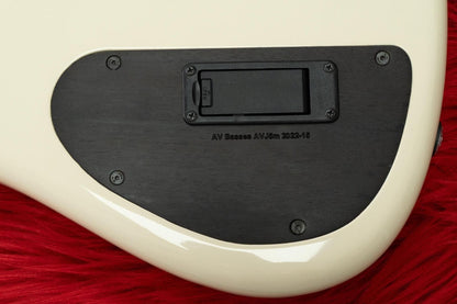 【used】AV BASSES / AVJ5m 4.05kg #2022-14【GIB Seoul】
