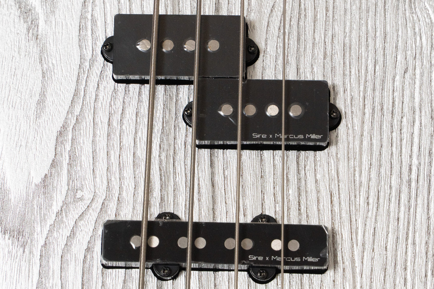 【outlet】Sire / P6-4 I,SIL 2.580kg #2N25080814【GIB Yokohama】