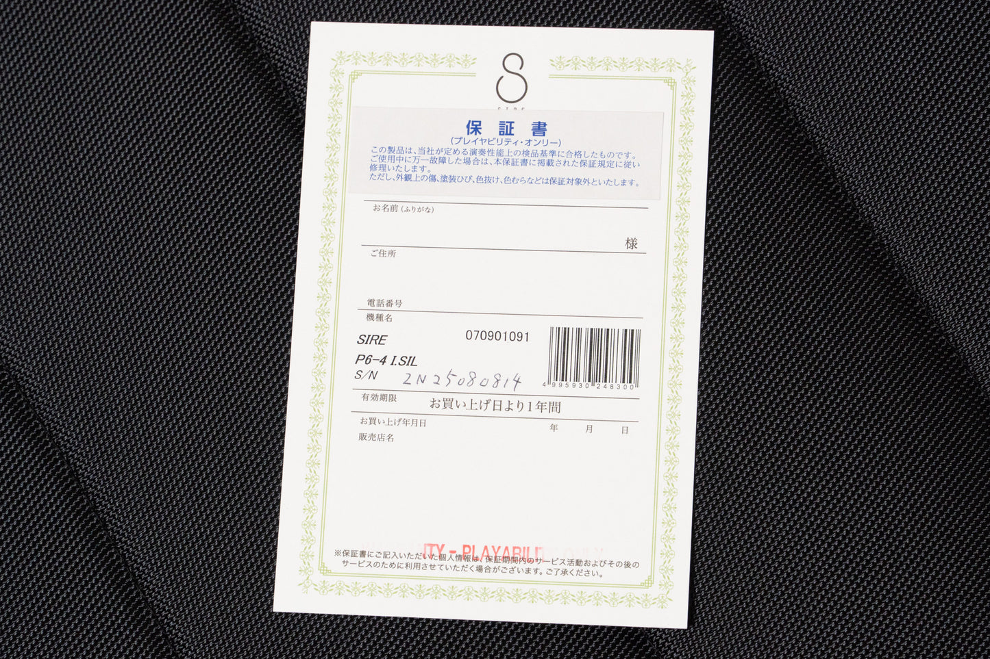 【outlet】Sire / P6-4 I,SIL 2.580kg #2N25080814【GIB Yokohama】