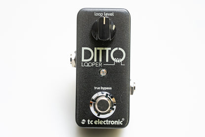 【used】tc electronic / DITTO LOOPER【GIB Yokohama】