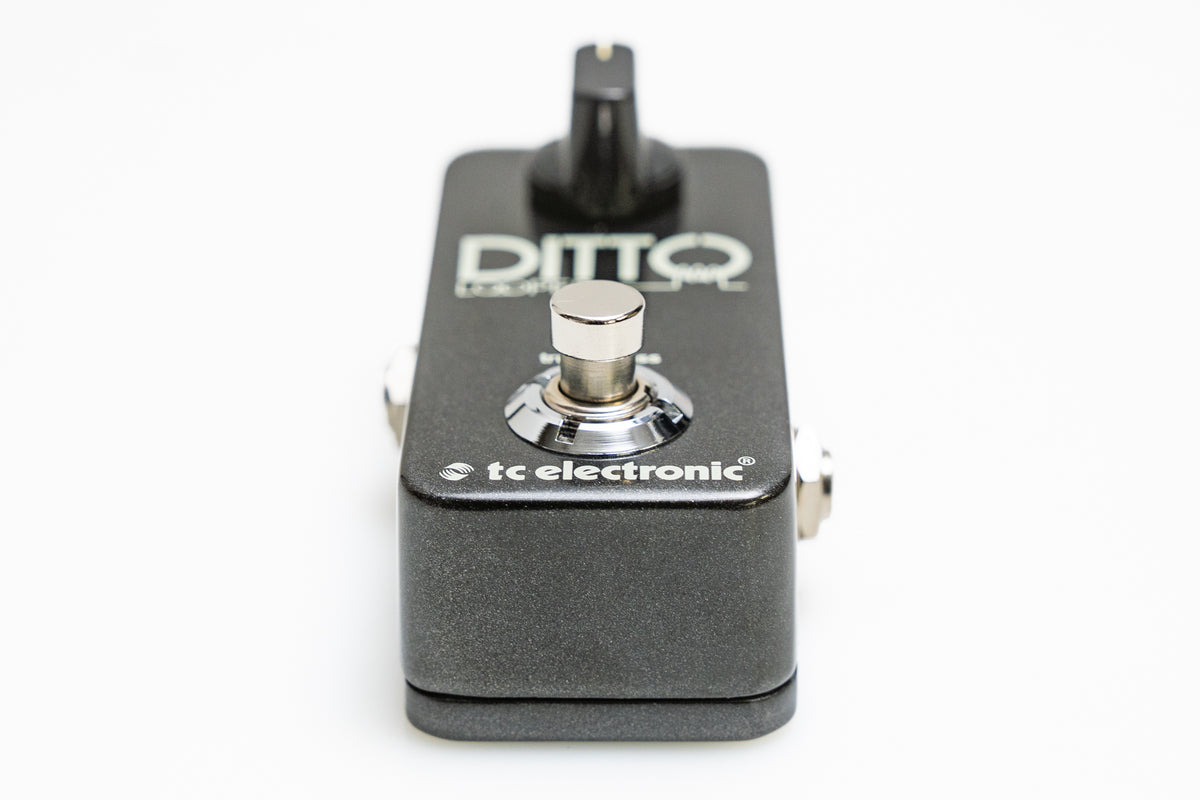 【used】tc electronic / DITTO LOOPER【GIB Yokohama】