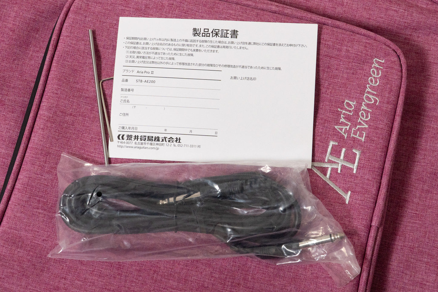 【new】Aria Pro II / Evergreen STB-AE200 MP【GIB Yokohama】