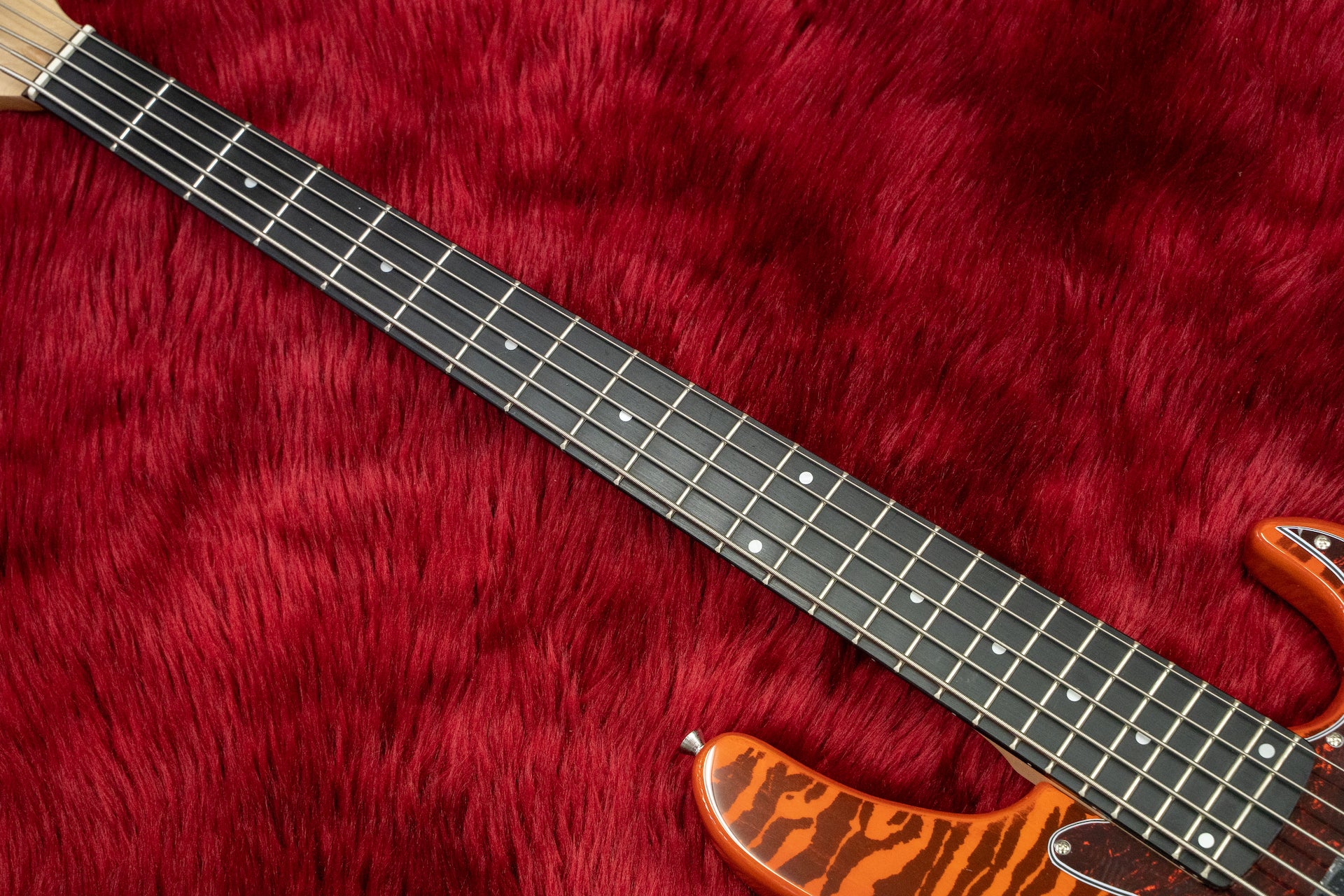 new】woofy basses Poodle5 Orange【GIB Hyogo】 – Bass Shop Geek IN Box