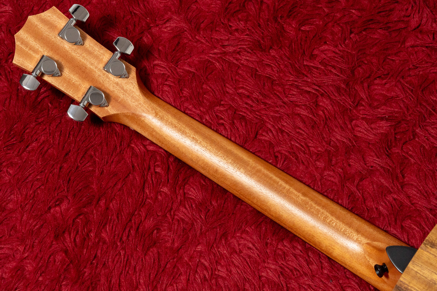 【new】Taylor / GS Mini-e Koa Bass 1.805kg #2203036467【GIB Yokohama】