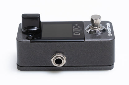 【used】tc electronic / DITTO+ LOOPER【GIB Yokohama】