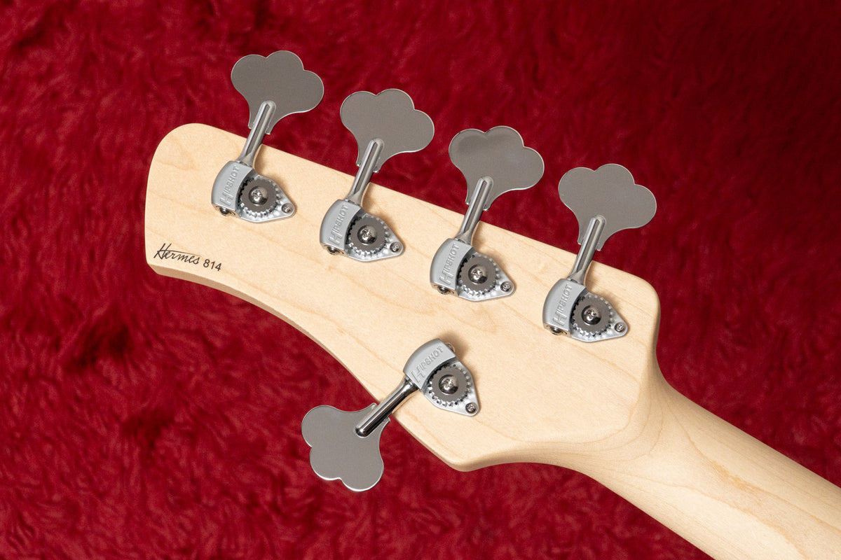 【new】Kikuchi Guitars / Hermes MV5 CFM 4.010kg #814【GIB横浜】