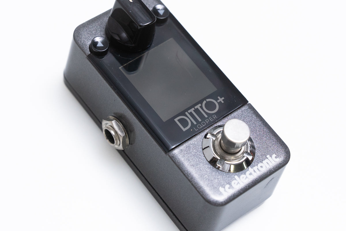 【used】tc electronic / DITTO+ LOOPER【GIB Yokohama】