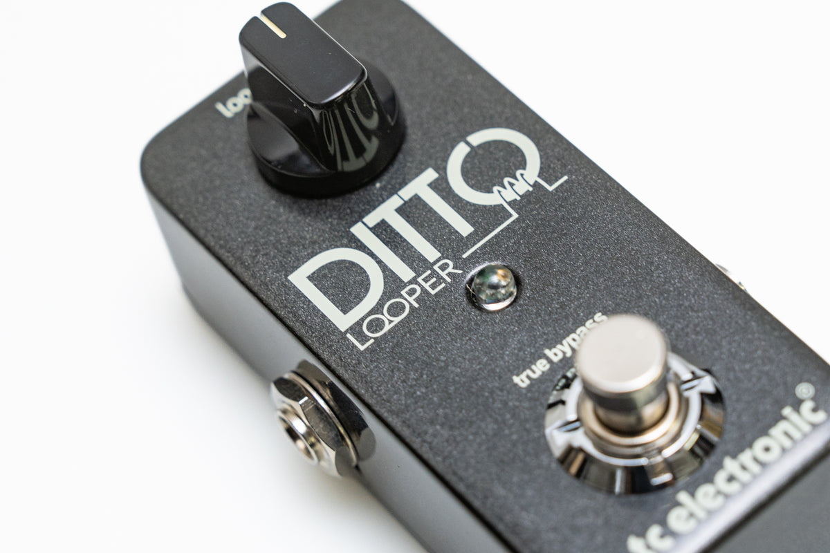 【used】tc electronic / DITTO LOOPER【GIB Yokohama】