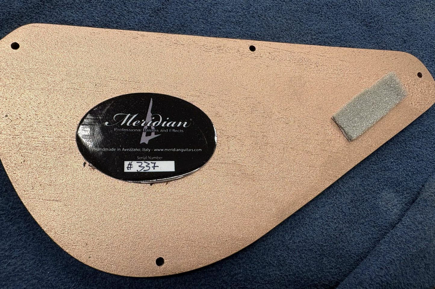 【used】Meridian Guitars / Aural II 5 string 4.015kg #337【GIB Yokohama】