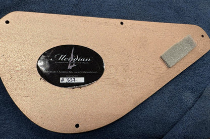 【used】Meridian Guitars / Aural II 5 string 4.015kg #337【GIB Yokohama】
