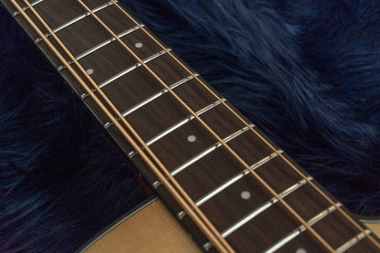 【new】HEX Guitars / JB100CE M 2.80kg #HK0900596【GIB Seoul】