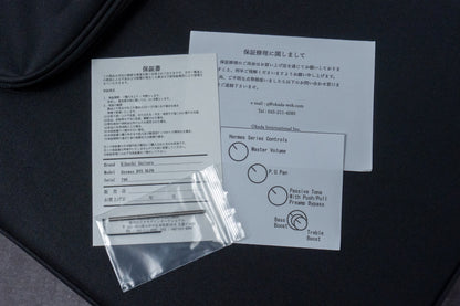 【new】Kikuchi Guitars / Hermes RV5 DLPB 3.97kg #798【GIB Hyogo】【Plek-adjusted】