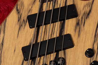 【used】Ibanez / EHB1275MS NTF 2023 3.925kg #I231101172【GIB Yokohama】