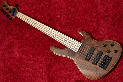 【new】Sadowsky / CS24 MS5 Ash/Black Walnut Burl/Natural Transparent Satin 3.580kg #F000386-26【GIB Yokohama】