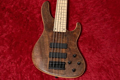 【new】Sadowsky / CS24 MS5 Ash/Black Walnut Burl/Natural Transparent Satin 3.580kg #F000386-26【GIB Yokohama】