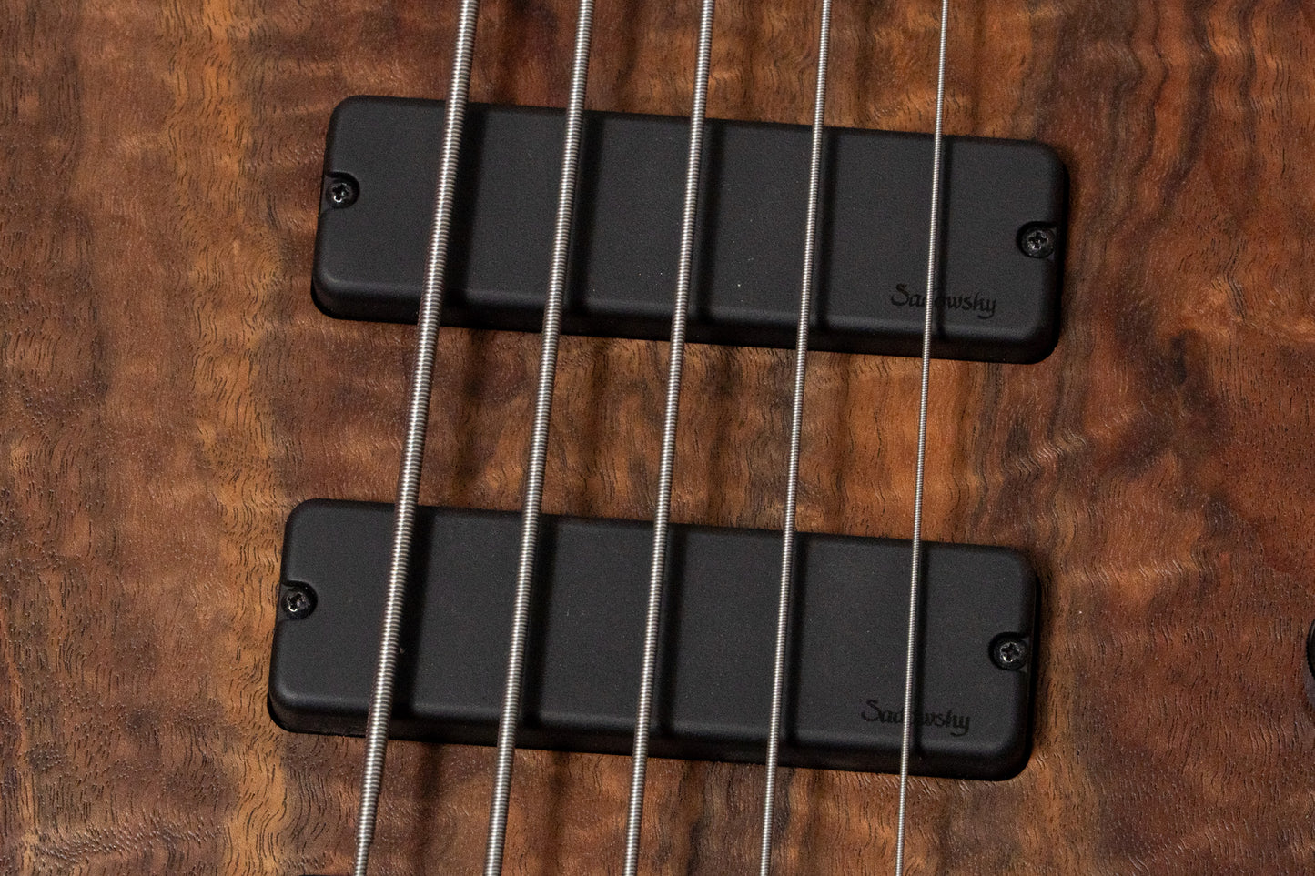 【new】Sadowsky / CS24 MS5 Ash/Black Walnut Burl/Natural Transparent Satin 3.580kg #F000386-26【GIB Yokohama】