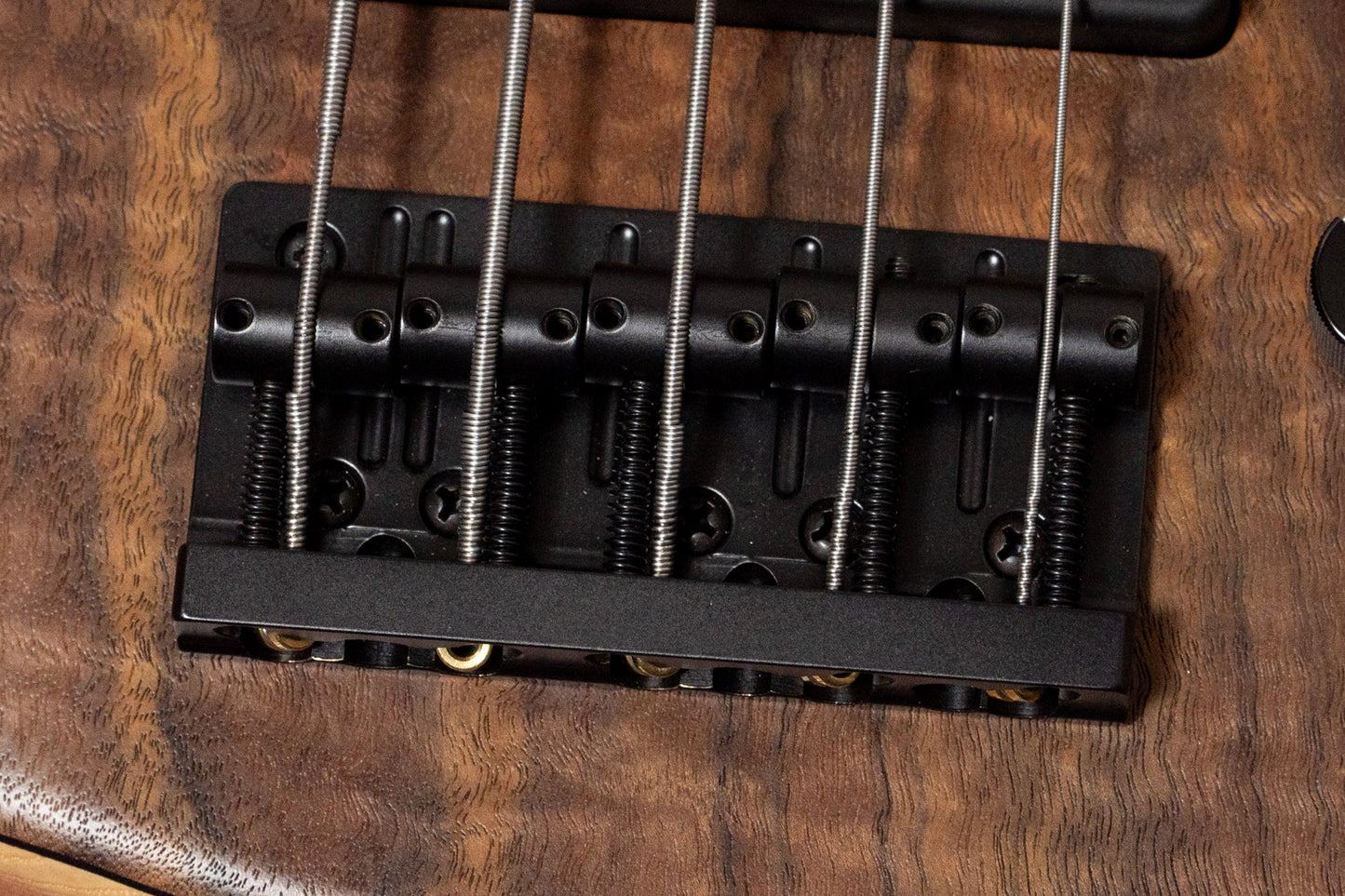 【new】Sadowsky / CS24 MS5 Ash/Black Walnut Burl/Natural Transparent Satin 3.580kg #F000386-26【GIB Yokohama】