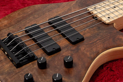 【new】Sadowsky / CS24 MS5 Ash/Black Walnut Burl/Natural Transparent Satin 3.580kg #F000386-26【GIB Yokohama】