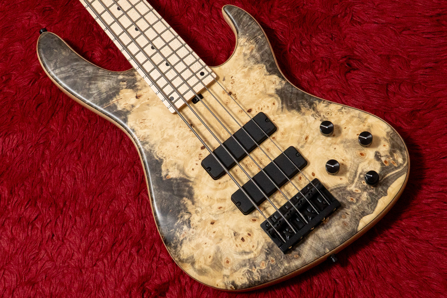 【new】Sadowsky / CS24 MS5 Ash/Buckeye Burl/Natural Transparent Satin 3.665kg #F000381-26【GIB Yokohama】