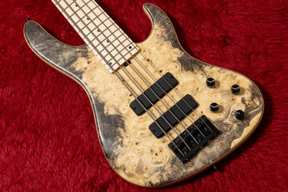 【new】Sadowsky / CS24 MS5 Ash/Buckeye Burl/Natural Transparent Satin 3.665kg #F000381-26【GIB Yokohama】