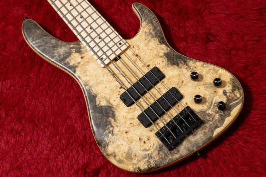 【new】Sadowsky / CS24 MS5 Ash/Buckeye Burl/Natural Transparent Satin 3.665kg #F000381-26【GIB Yokohama】