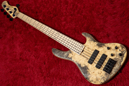 【new】Sadowsky / CS24 MS5 Ash/Buckeye Burl/Natural Transparent Satin 3.665kg #F000381-26【GIB Yokohama】