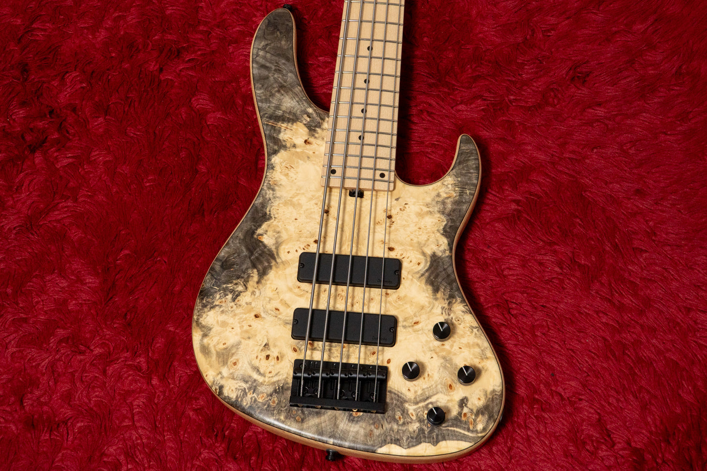 【new】Sadowsky / CS24 MS5 Ash/Buckeye Burl/Natural Transparent Satin 3.665kg #F000381-26【GIB Yokohama】