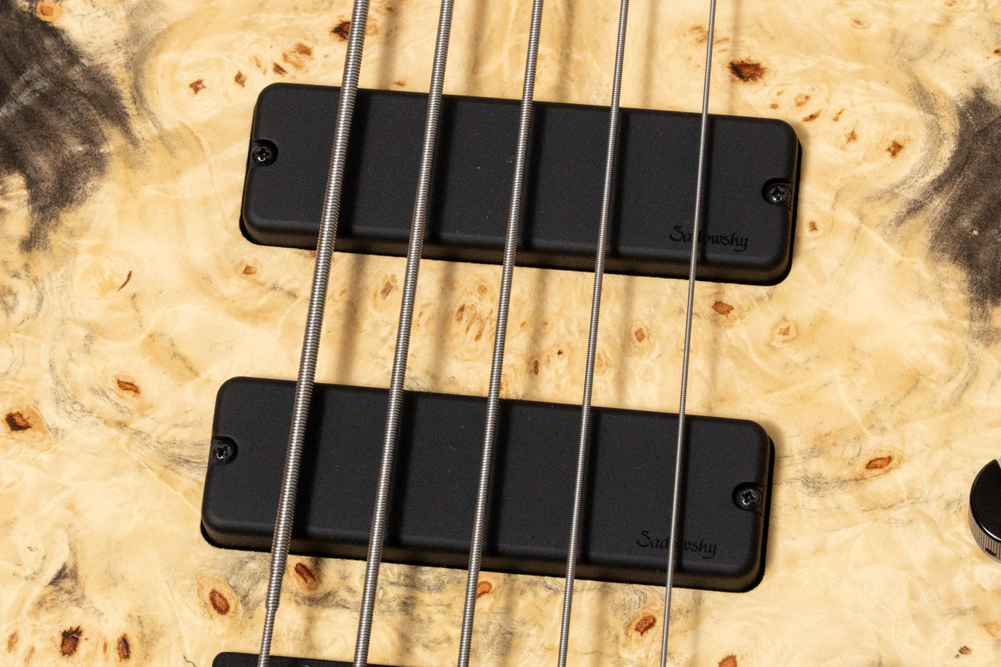 【new】Sadowsky / CS24 MS5 Ash/Buckeye Burl/Natural Transparent Satin 3.665kg #F000381-26【GIB Yokohama】