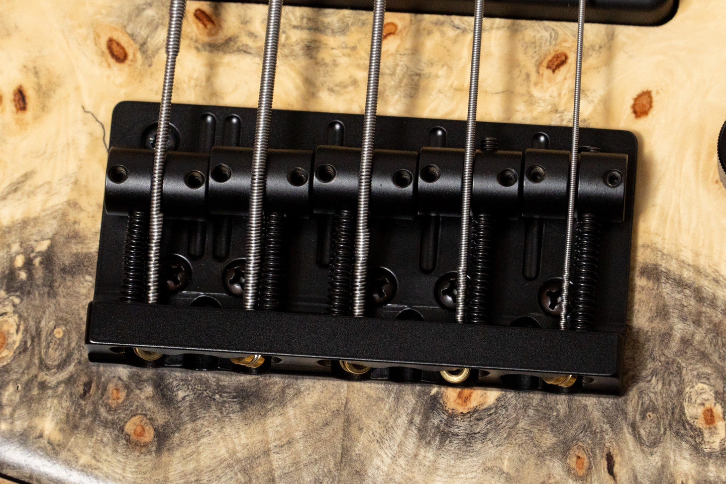 【new】Sadowsky / CS24 MS5 Ash/Buckeye Burl/Natural Transparent Satin 3.665kg #F000381-26【GIB Yokohama】