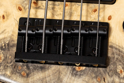 【new】Sadowsky / CS24 MS5 Ash/Buckeye Burl/Natural Transparent Satin 3.665kg #F000381-26【GIB Yokohama】