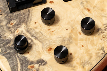 【new】Sadowsky / CS24 MS5 Ash/Buckeye Burl/Natural Transparent Satin 3.665kg #F000381-26【GIB Yokohama】